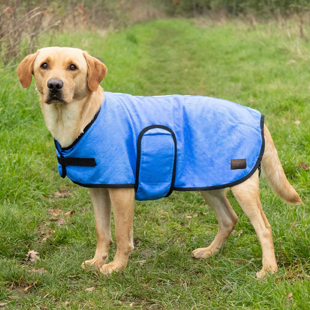 Benji &amp; Flo Cooling Dog Coat image 4